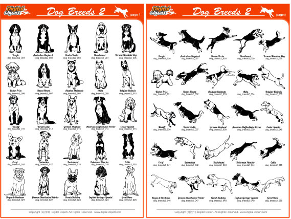 Dog Breeds 2 - PDF - catalog. Cuttable vector clipart in EPS and AI formats. Vectorial Clip art for cutting plotters.