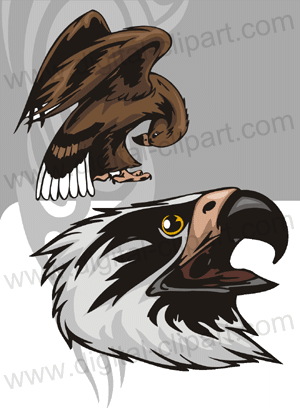 Predatory Birds. Cuttable vector clipart in EPS and AI formats. Vectorial Clip art for cutting plotters.