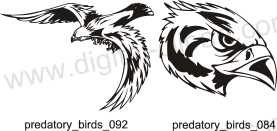 Predatory Birds. Free vector lipart in EPS and AI formats.
