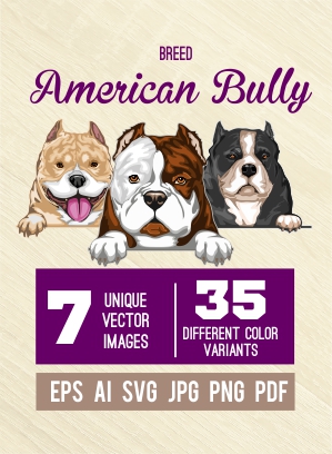 American Bully Dog