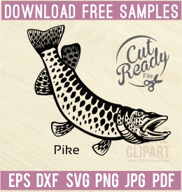 American Fishes - Free vector lipart in EPS and AI formats.