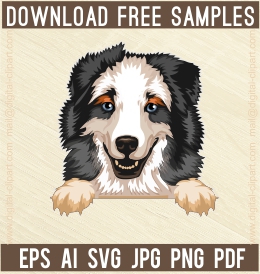 Australian Shepherd Peeking Dogs - Free vector lipart in EPS and AI formats.
