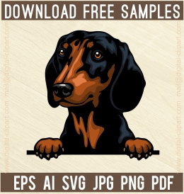  Dachshund Peeking Dogs - Free vector lipart in EPS and AI formats.