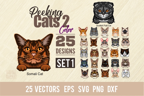 Peeking Cats Color