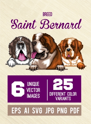 Saint Bernard