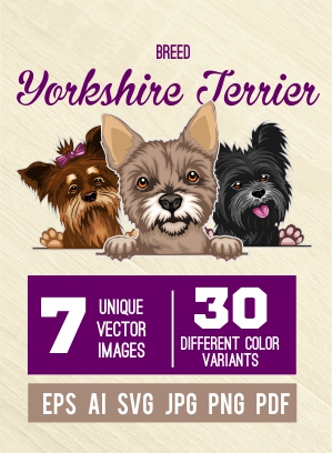 Yorkshire Terrier